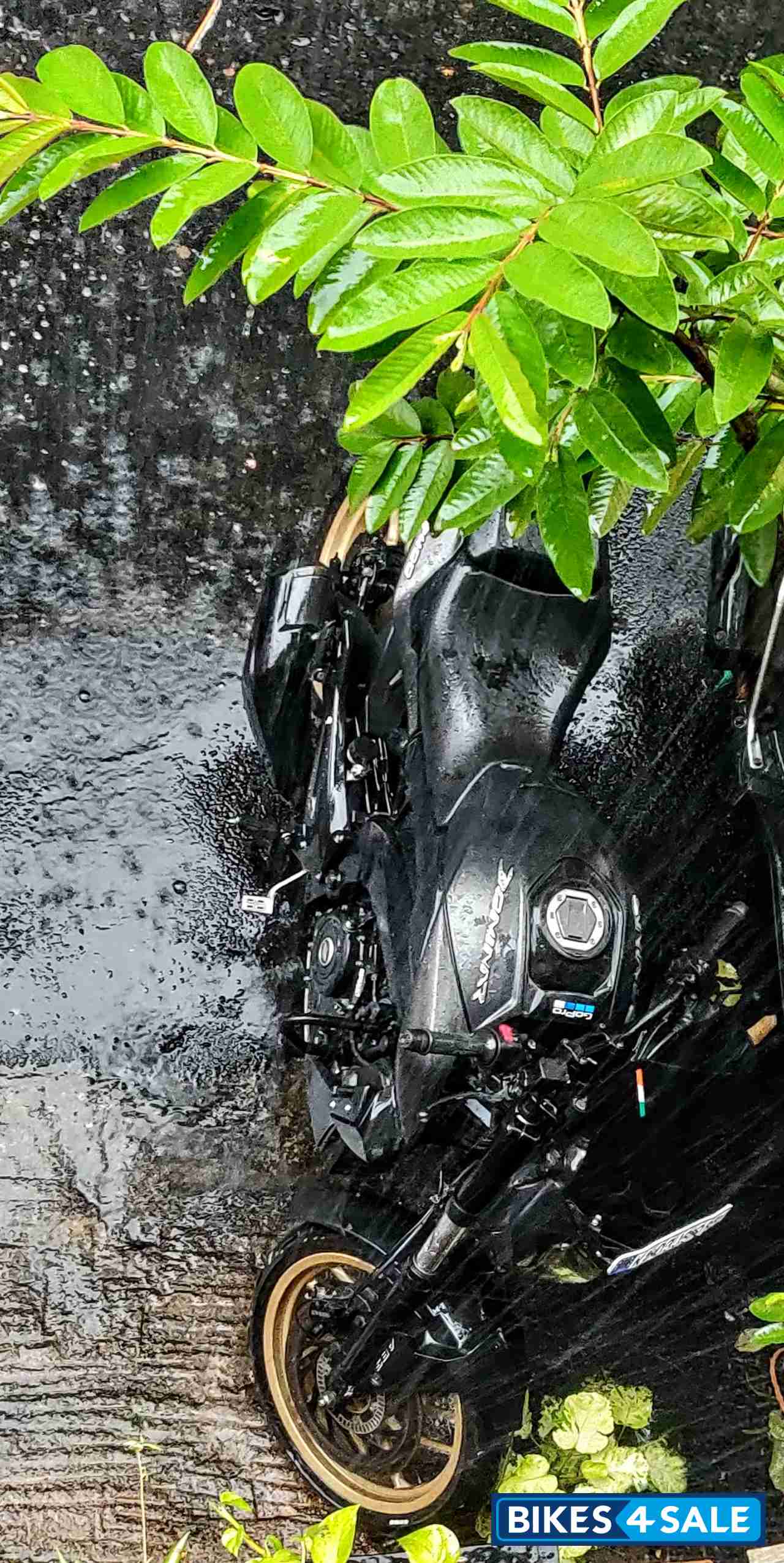 Matte Black Bajaj Dominar 400 ABS BS6