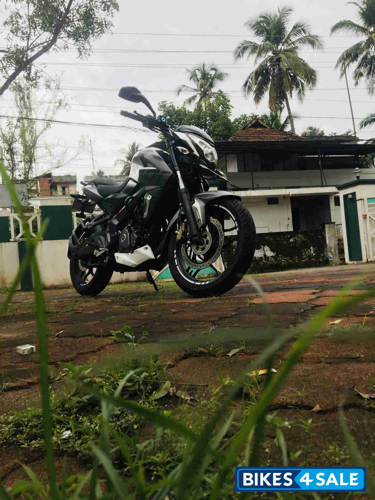 Bajaj Pulsar NS 200 BS6