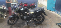 Black Golden Bajaj Discover 150 S