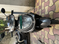 Dark Brown Ampere Zeal Ex