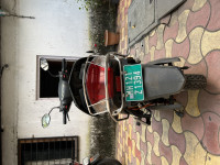 Dark Brown Ampere Zeal Ex