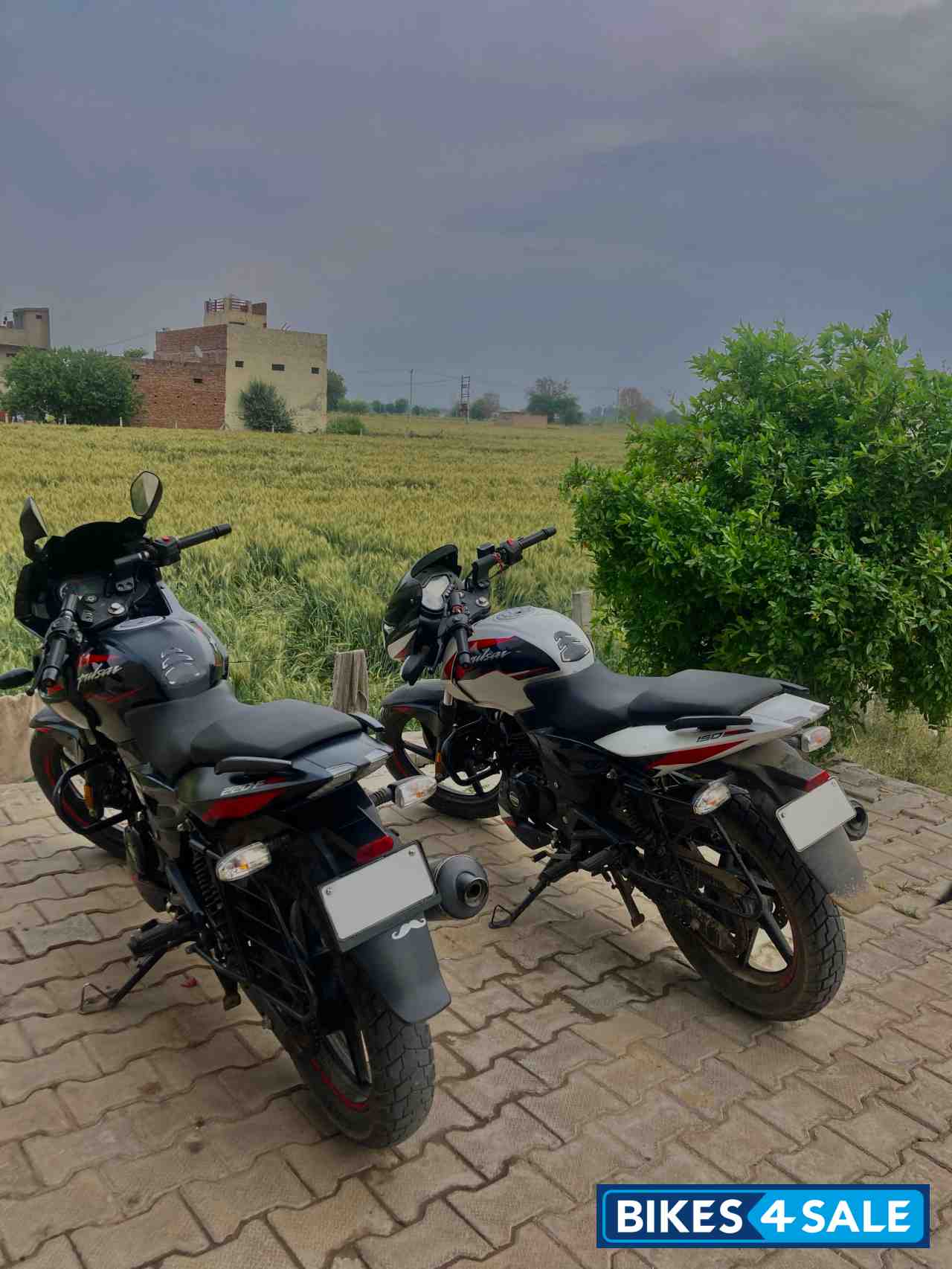 Black Bajaj Pulsar 220F BS6