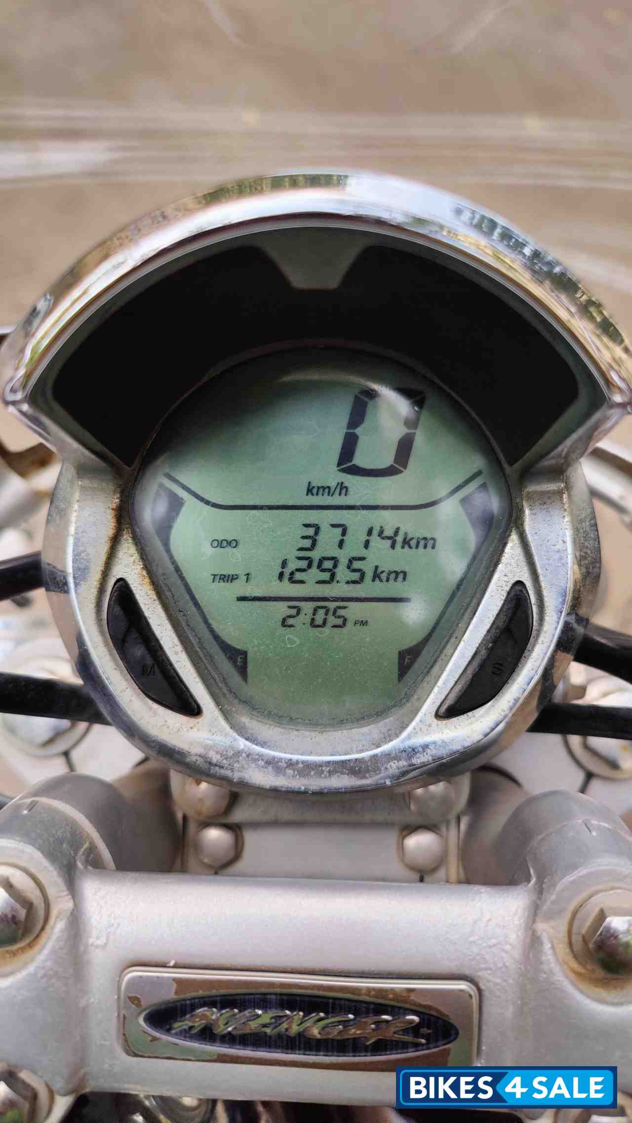 Bajaj Avenger Cruise 220 BS6