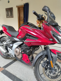 Glassy Red Bajaj Pulsar F250