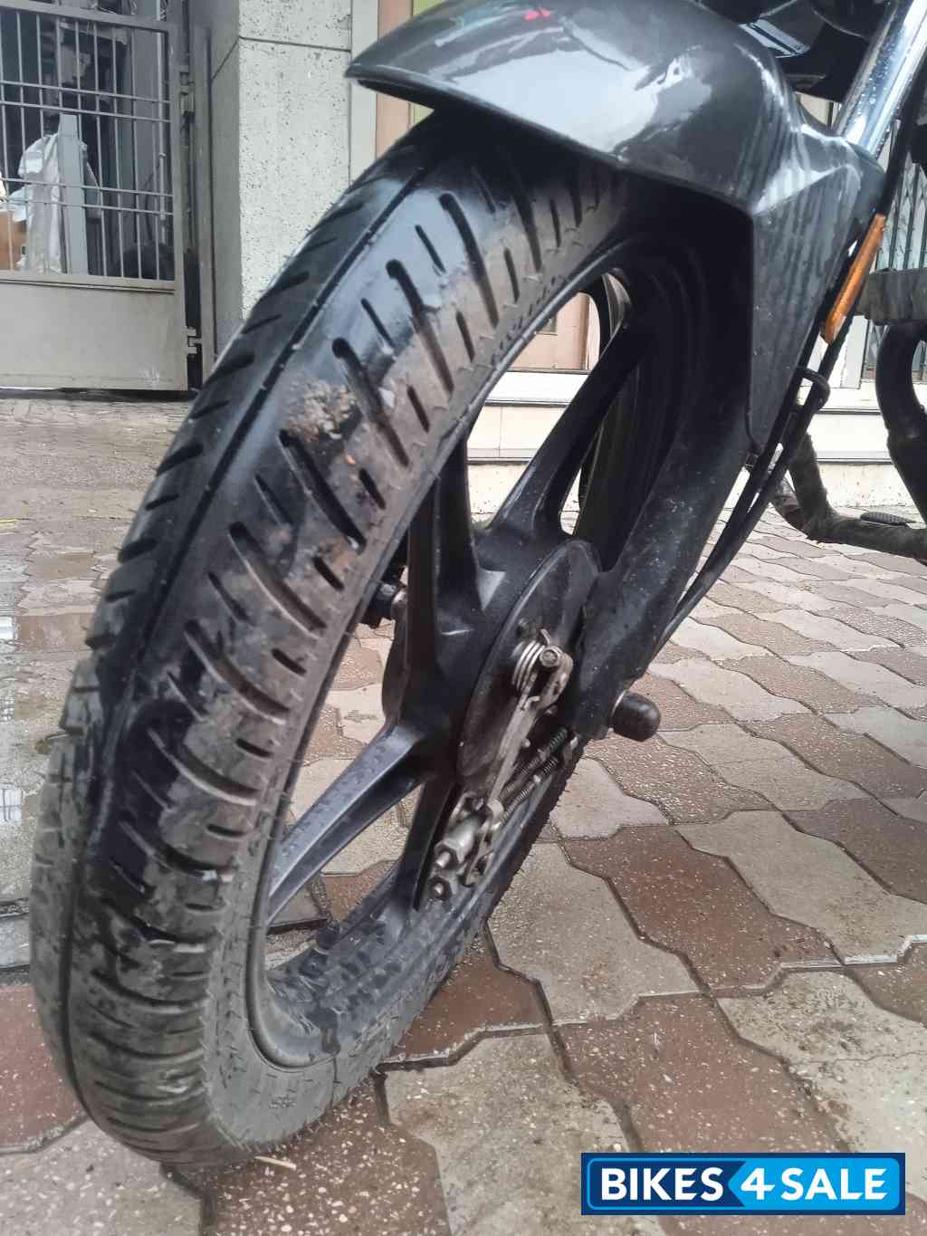 Mat Black Honda Livo 110