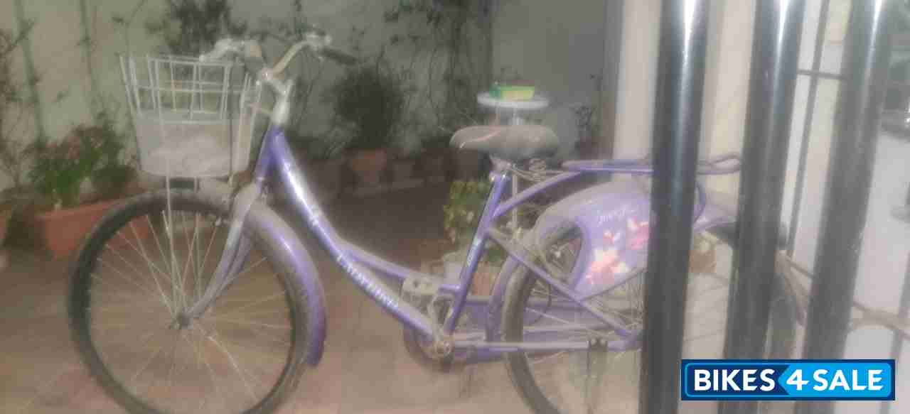 Purple Bicycle Lady Bird