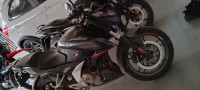 Bajaj Pulsar N250 2022 Model
