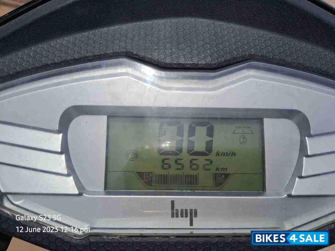 Red Black Hop Leo Standard