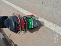 Red Black Hop Leo Standard