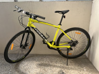 Bicycle Montra Downtown