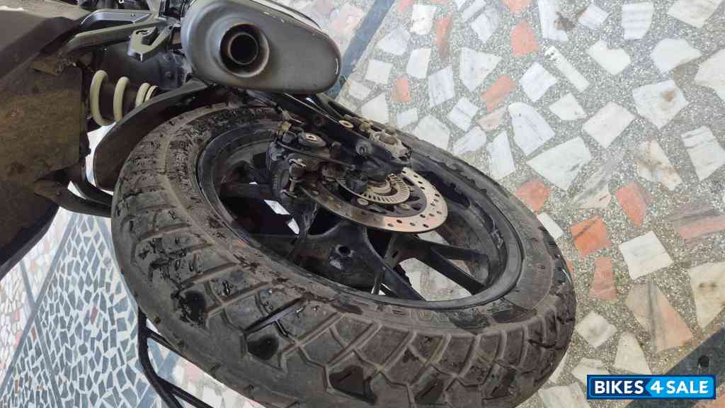 Electronic Orange KTM 250 Adventure 2022