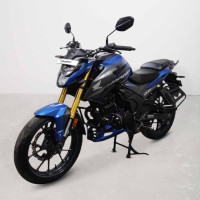 Honda Hornet 2.0