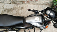 Gray Bajaj Discover DTSi 135