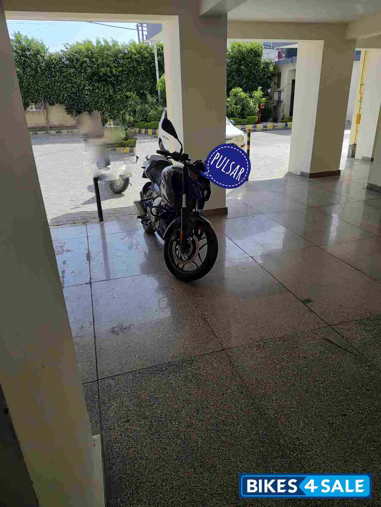 Techno Grey Bajaj Pulsar N250