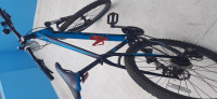 Bicycle  Veloce 650B
