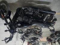Harley Davidson Street 750