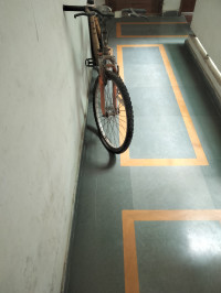 Bicycle Firefox 2019 Model