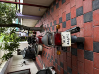 Wine Red Yamaha RX 135