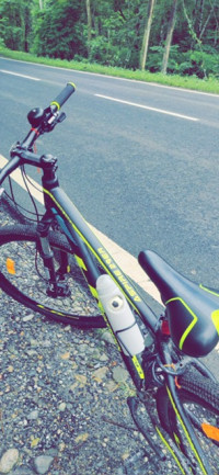 Bicycle  Aspire 29(La Sovereign)