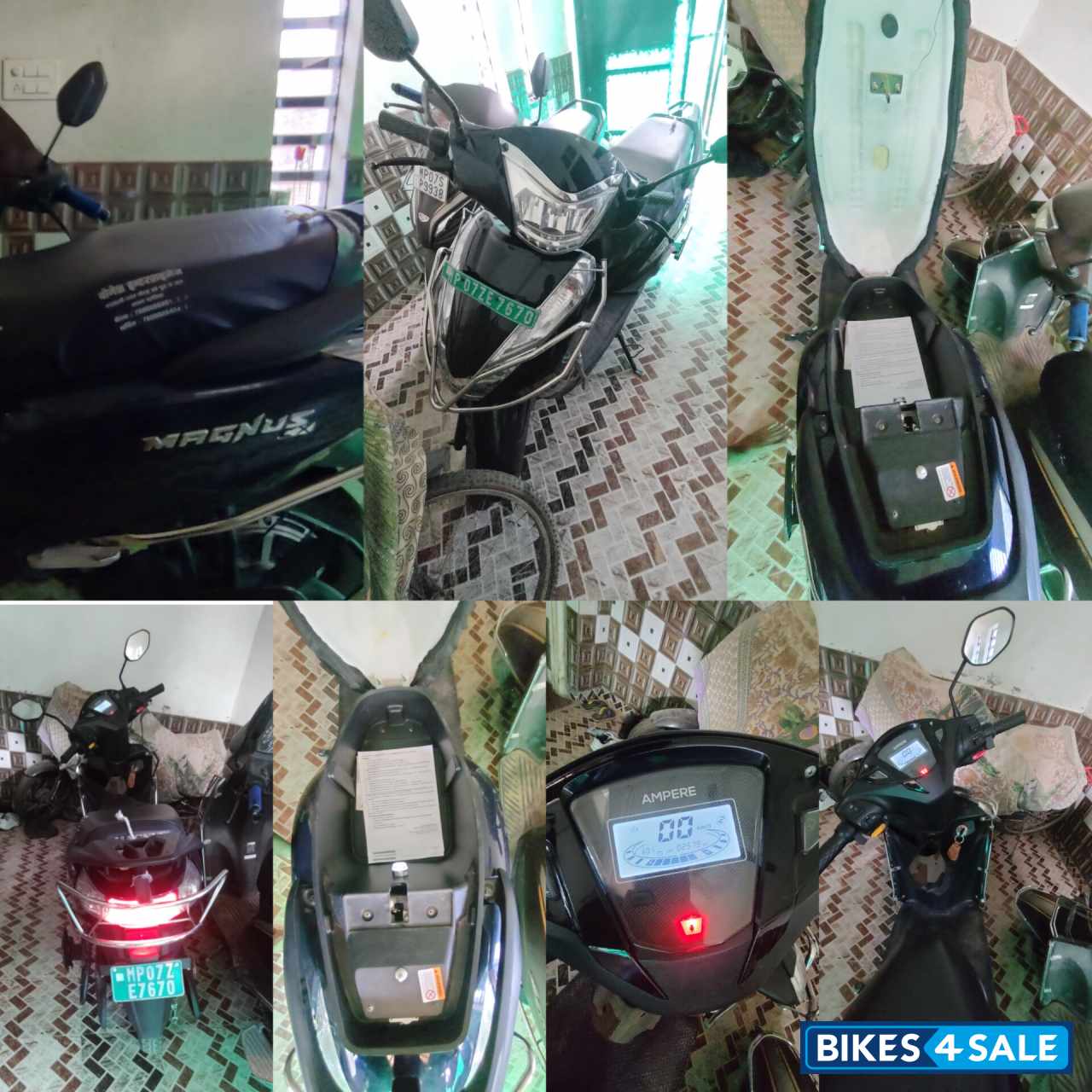 Ocean Blue Ampere Magnus Ex