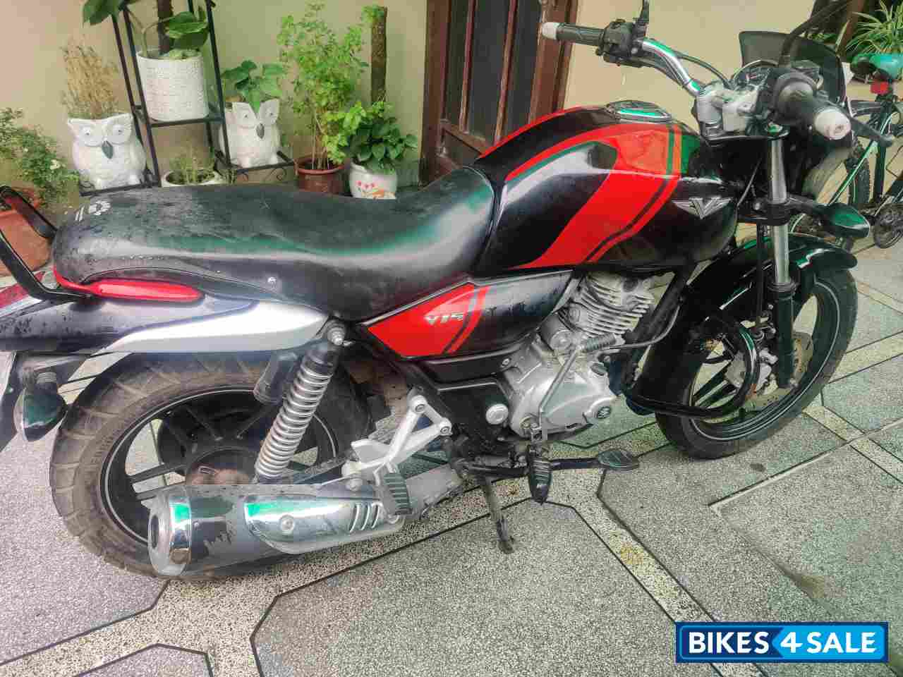 Black & Red Bajaj V15