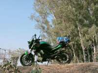 Savanna Green Bajaj 2021 Dominar 400