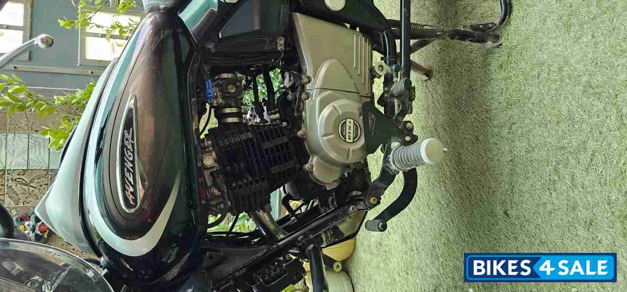 Brown Bajaj Avenger Cruise 220 BS6