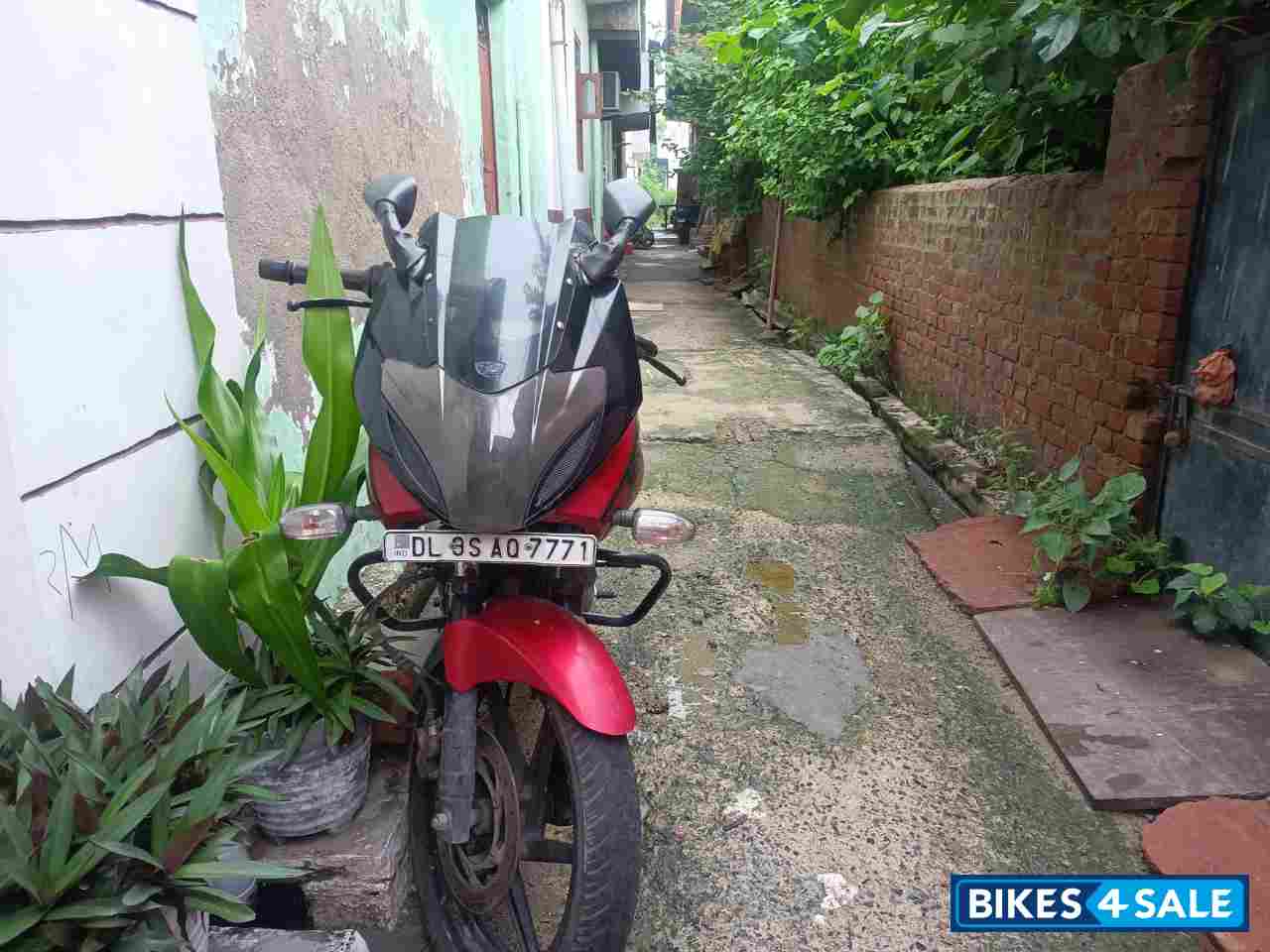 Wine Red Bajaj Pulsar 220 DTSi