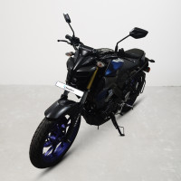 Yamaha MT-15