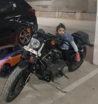 Harley Davidson  IRON 883 2015 Model