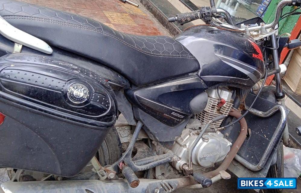 Honda Shine 125 Drum