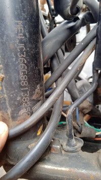 Honda Shine 125 Drum