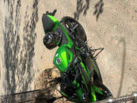 Green Kawasaki Ninja 300 BS6 2022