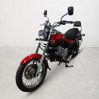 Bajaj Avenger 220 DTS-i