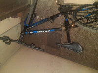 Bicycle Raleigh