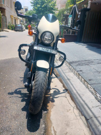 Harley Davidson Street Rod