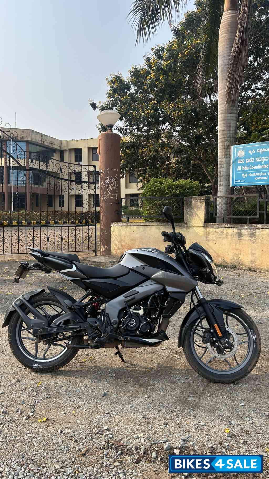 Gray Bajaj Pulsar NS 125