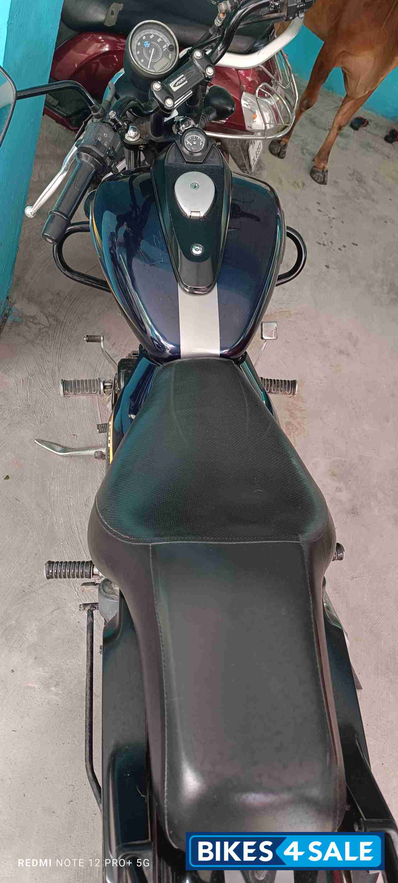 Blue Bajaj Avenger Street 150