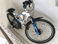 White And Blue Bicycle Firefox