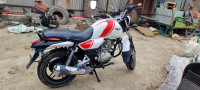 White And Red Bajaj V15