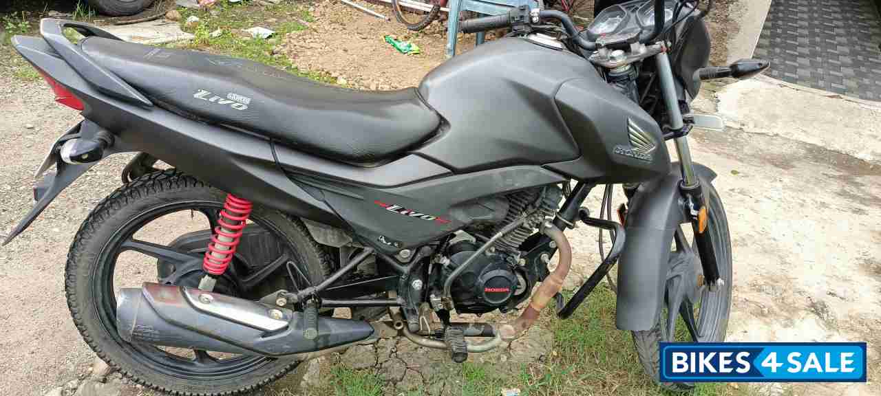 Honda  Livo