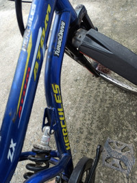 Bicycle Hercules  Model