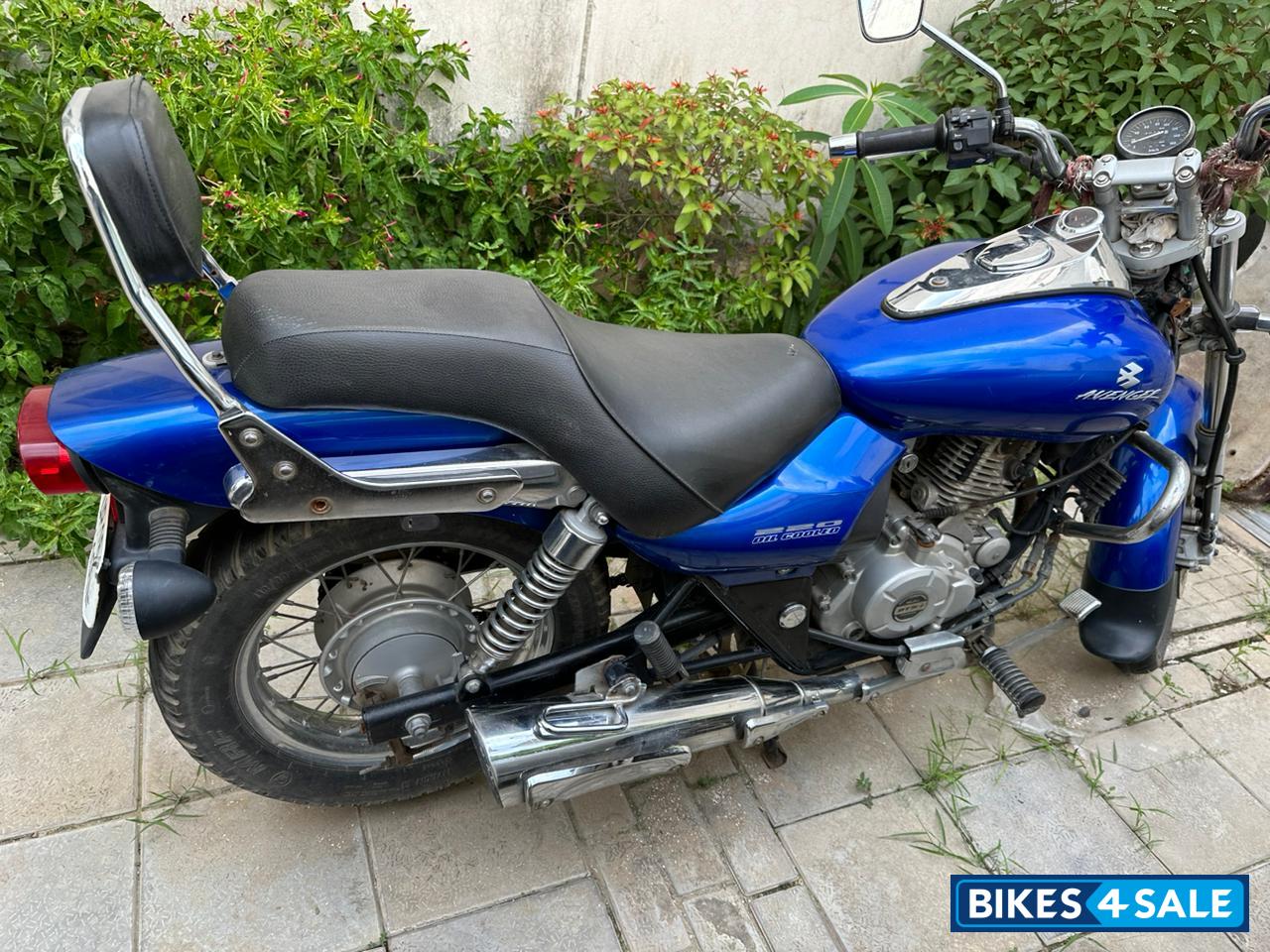 Plasma Blue Bajaj Avenger 220 DTS-i