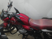 Wine Red Bajaj V15