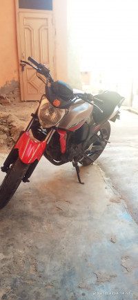 Yamaha FZ-S 2009 Model