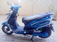 Hero Electric Optima CX Dual Battery