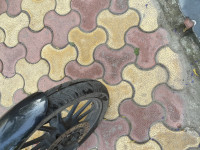 Bajaj Avenger Street 150 2016 Model