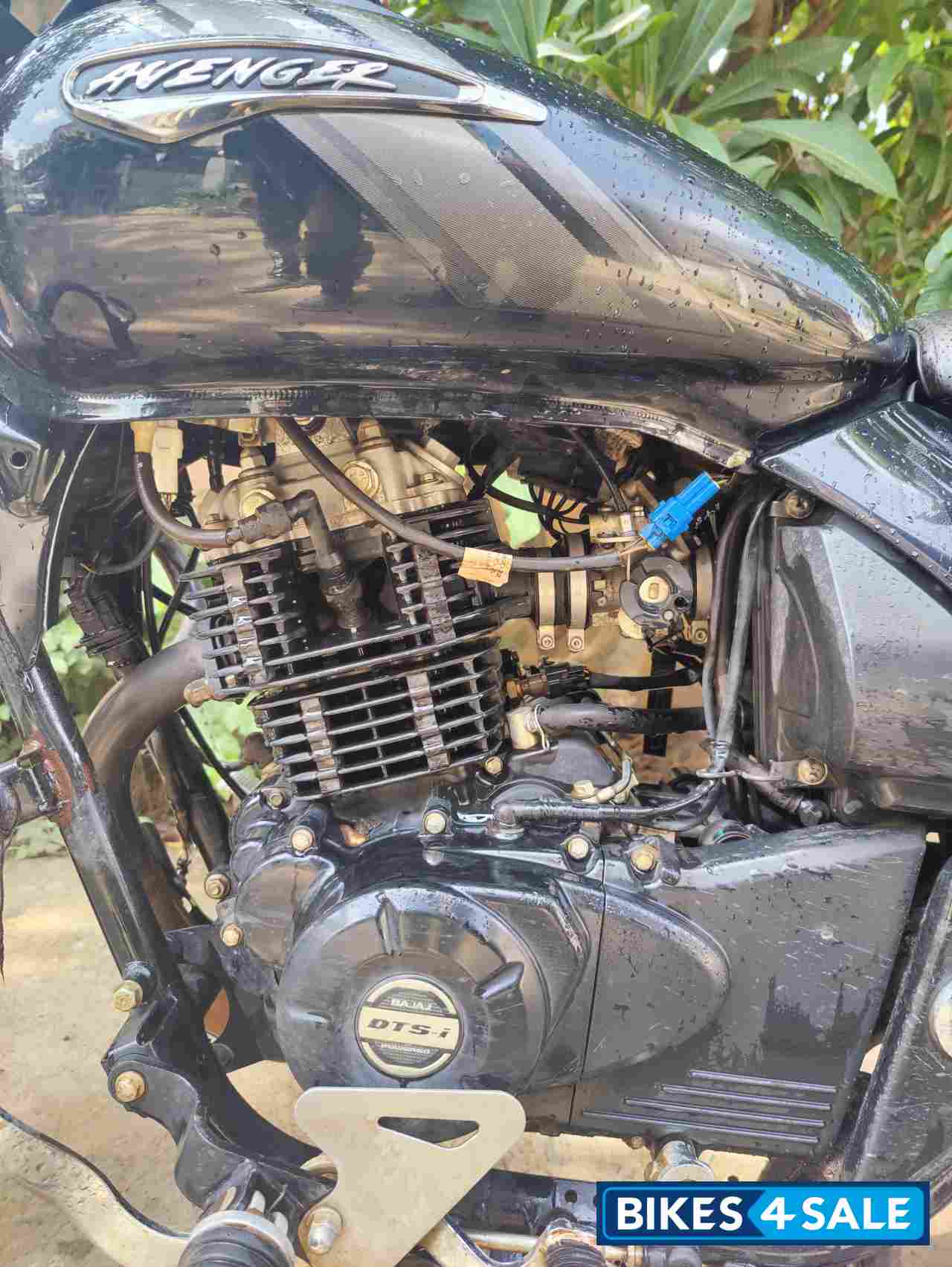 Black Bajaj Avenger Street 160 BS6