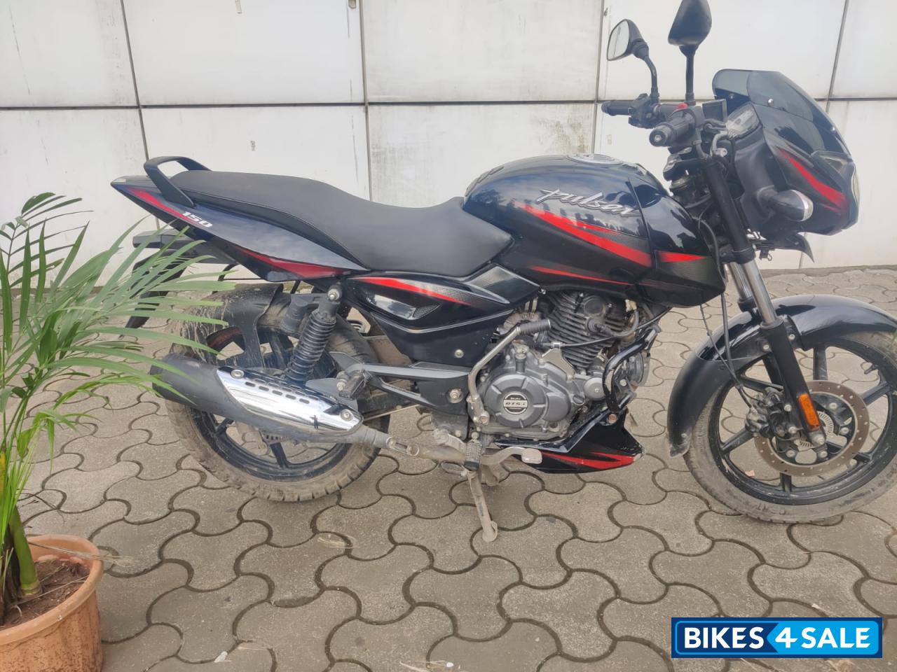 Black & Red Bajaj Pulsar 150 BS6