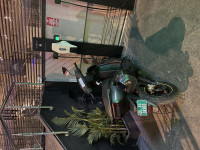 Ather 450X 2022 Model